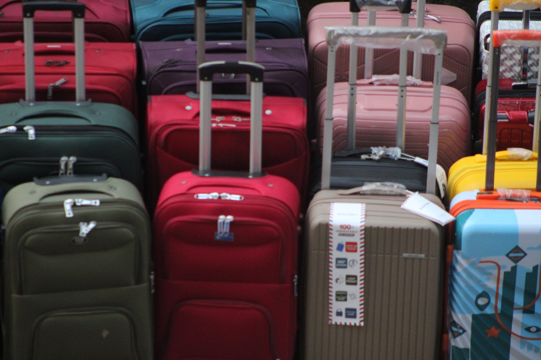 Clothes rolled and laid into a case